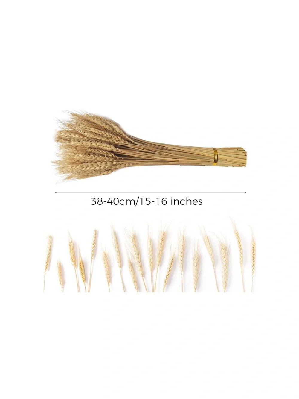 CoolCrafts includes 100